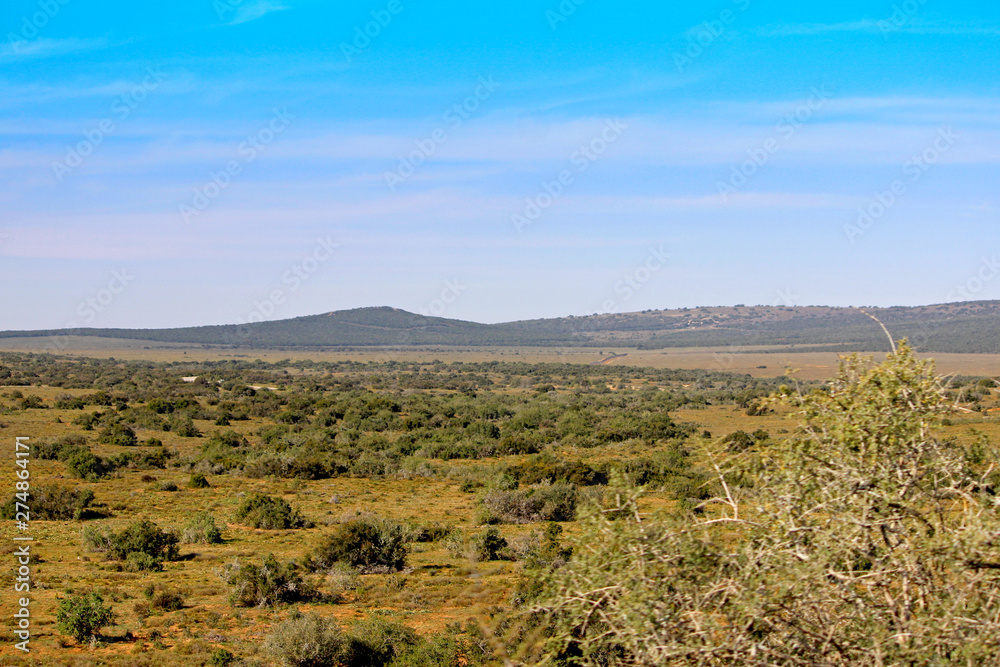 Addo National Park Semi-Desert Addo National Park Semi-Desert