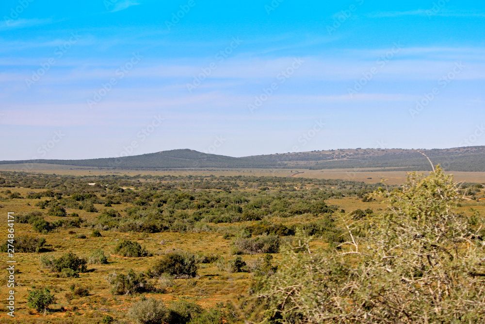 Addo National Park Semi-Desert