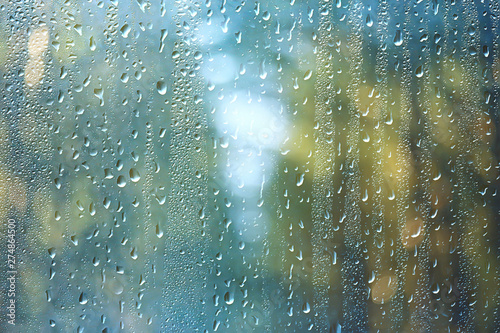 spring day in the park / view of the spring landscape in the park through the window, raindrops on the glass