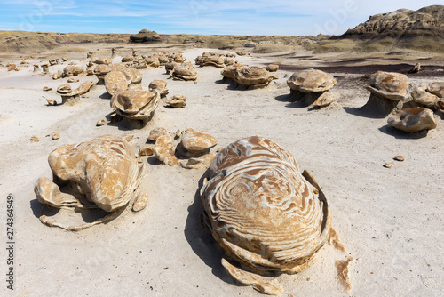 The Alien Egg Hatchery rock formations at Bisti/De-Na-Zin Wilderness Area, New Mexico, USA photo
