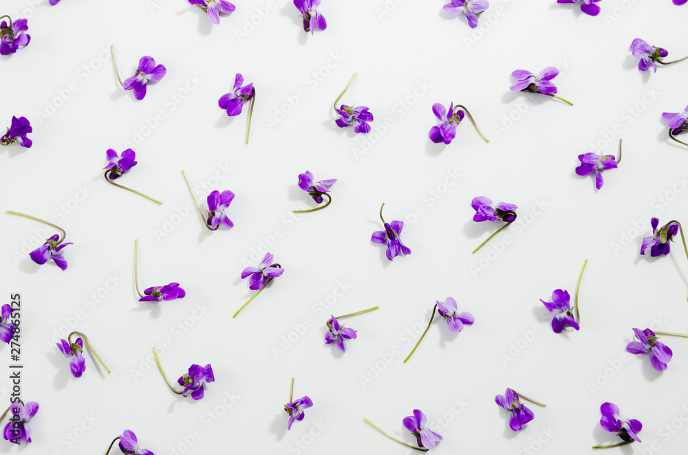 Decorative floral pattern Decorative floral pattern
