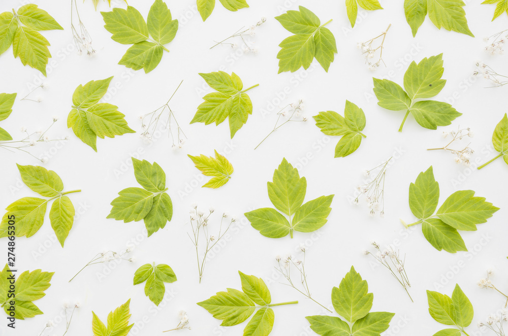 Decorative floral pattern Decorative floral pattern
