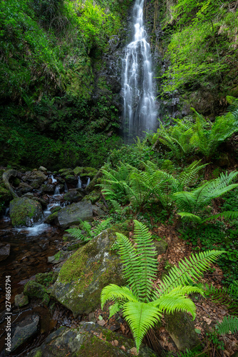 Waterfall of Belaustegi beech forest, Gorbea Natural Park, Vizcaya, Spain photo