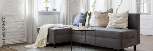 Living room with gray sofa photo