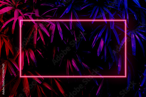 Fototapeta Naklejka Na Ścianę i Meble -  Bright neon red glow, futuristic background in retro style, creative tropical leaves layout ultra violet colors