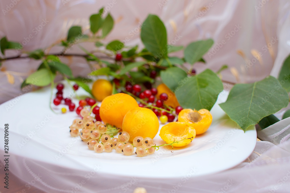 Plate with summer berries. Apricots, currant, a bird cherry on a white plate Plate with summer berries. Apricots, currant, a bird cherry on a white plate
