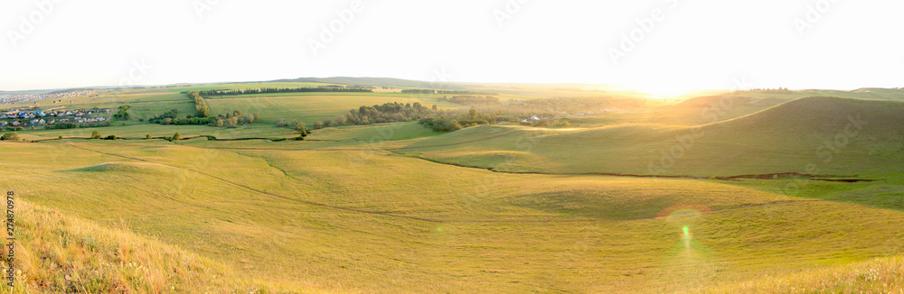 panorama landscape of the green field 