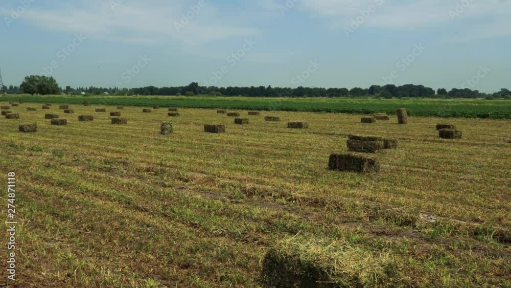 Fields of freshly cut grass. 4K Fields of freshly cut grass. 4K