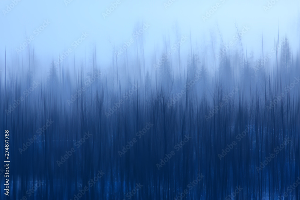 abstract forest blurred winter vertical lines / winter forest background, abstract landscape - obrazy, fototapety, plakaty 