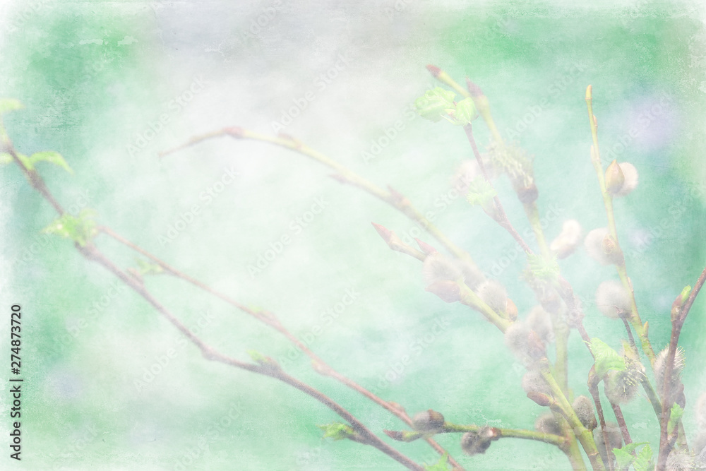 small branches with buds leaves / spring background, concept freshness botany youth small branches with buds leaves / spring background, concept freshness botany youth