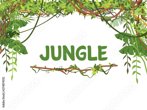 Jungle exotic leaves and lianes vector background. Tropical nature tree forest, jungle plant summer with place for text illustration