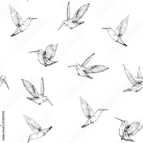 Seamless pattern with hummingbirds. Hand drawn vector illustration