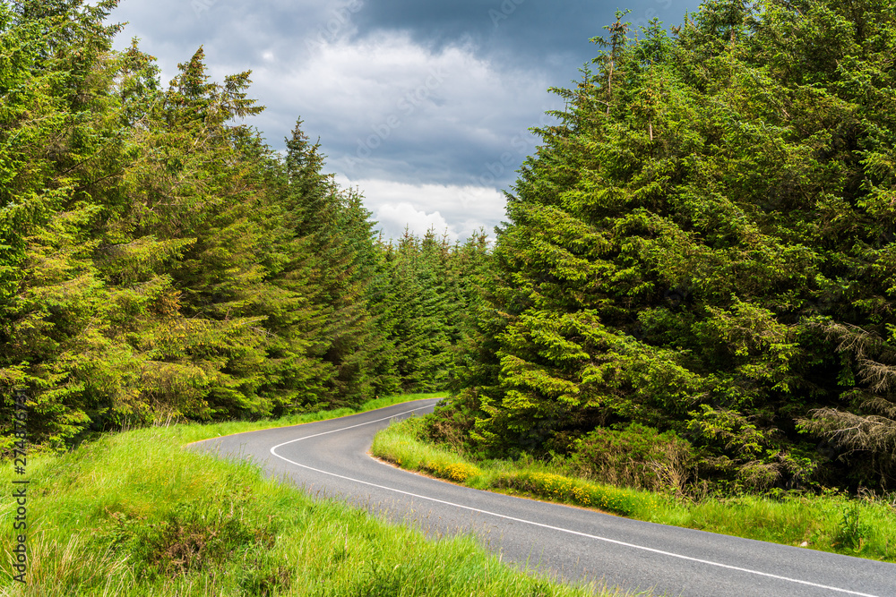 Winding empty asphalt road through a lush green forest with summer storm clouds approaching. Scenic roadway Dublin Mountains, Ireland.