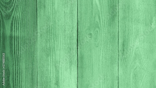 Light Green Wooden Background