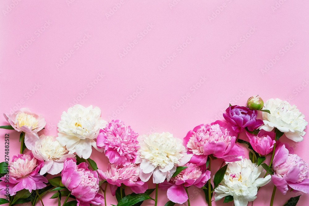 Pink and white peony flowers bouquet on pink background. Greeting card. Copy space, top view.