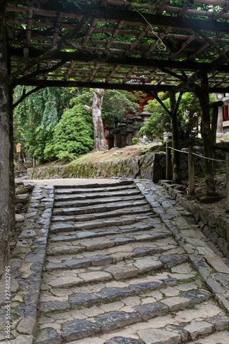 Path in the park