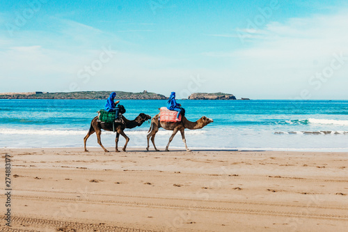 Tourists on camels on the beach. Tourism in Morocco, Algeria, Tunisia. Travel concept