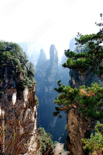 Zhangjiajie National Forest Park  China - UNESCO World Heritage Site. Natural quartz sandstone pillar the Avatar Hallelujah Mountain among woods and rocks in Tianzi Mountains  Hunan Province  China.