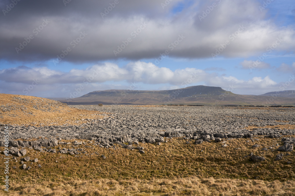 Views towards Pen-y-ghent from the limestone formations of Long Scar on the Pennine Briddleway in the Yorkshire Dales.