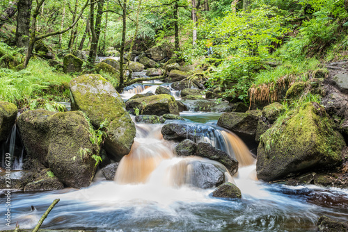 waterfall in the forest