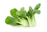 Bok choy isolated on white background. full depth of field