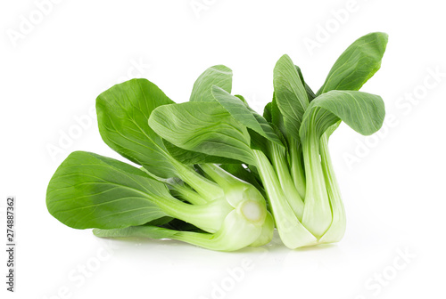 Bok choy isolated on white background. full depth of field photo