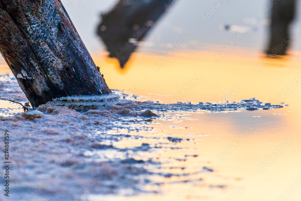 Fototapeta premium Salt on wooden log in water salt lake. Salt Lake Baskunchak, Russia