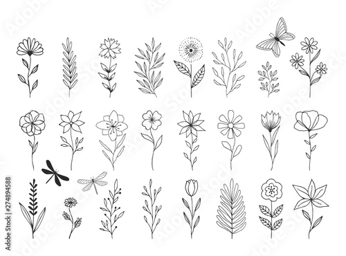 Set of vector floral design elements. Decoration elements for invitation, wedding cards, valentines day, greeting cards. Isolated.