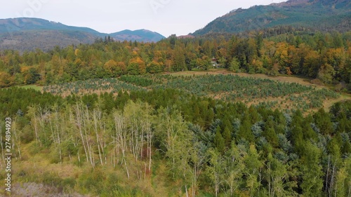 lake in the mountains
