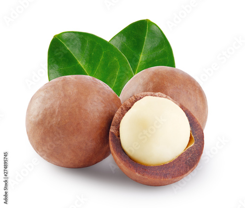 Whole and open australian macadamia nut with the two green leaf photo