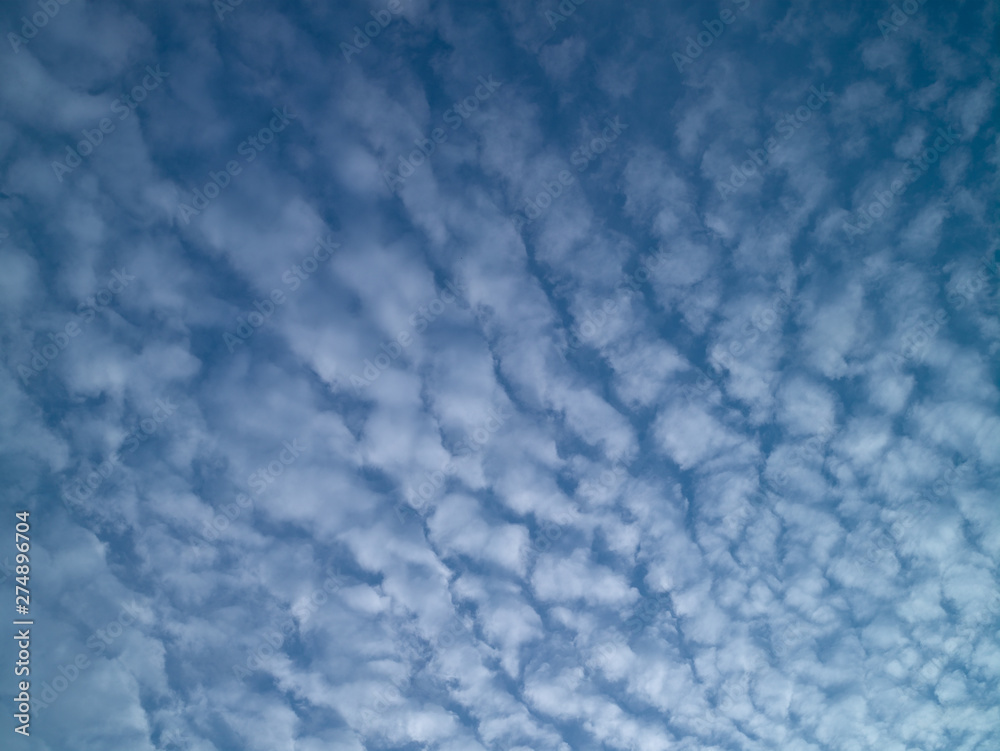 Obraz premium Summer blue sky with white light clouds.