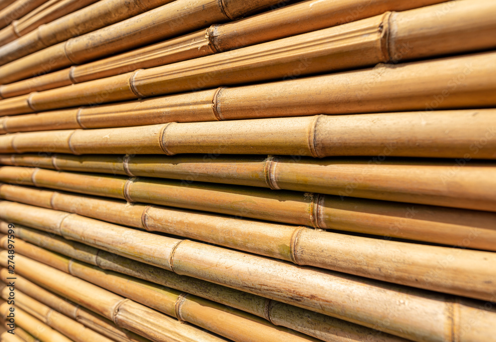 Bamboo twig wall as abstract background Bamboo twig wall as abstract background
