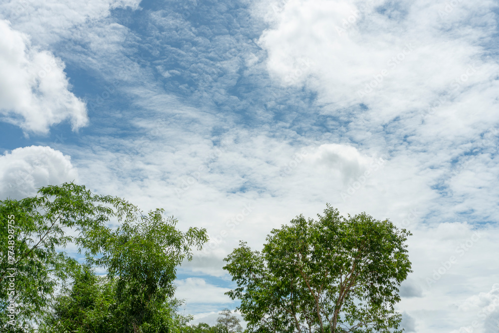 Obraz premium View of the clouds