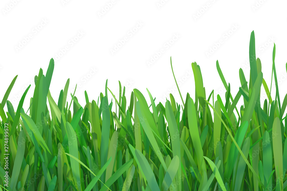 Fototapeta premium Green grass nature. plants lawn. 3d rendering natural background.