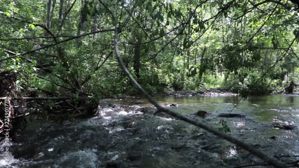 Mountain river in the Far East. Mountain river in the Far East.
