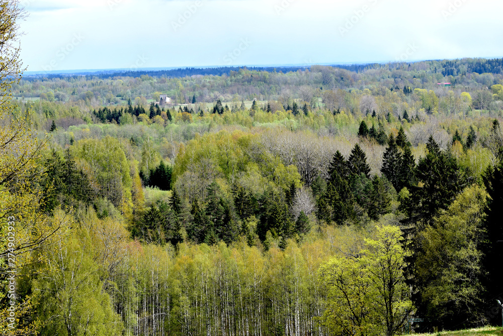 view from mountain