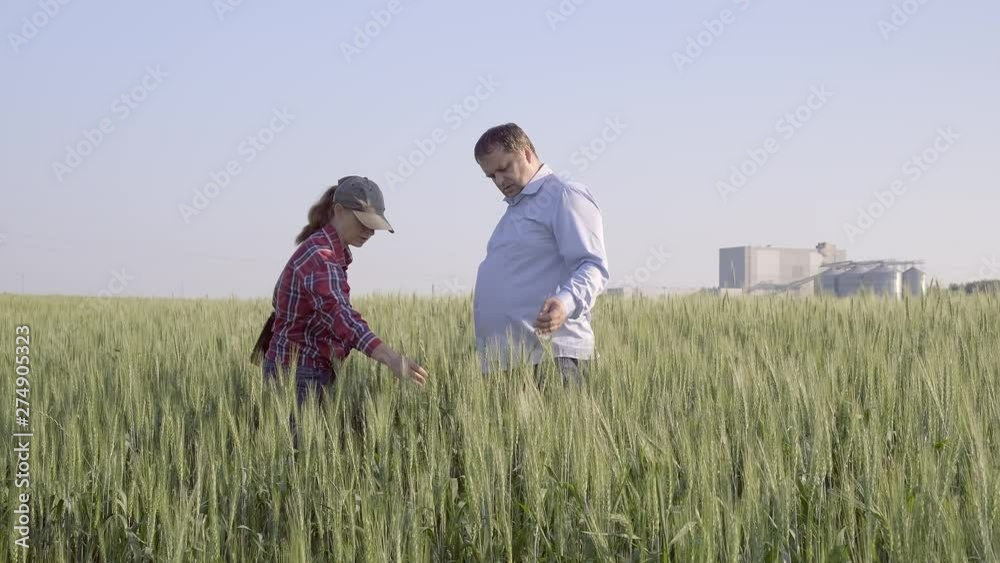 farmer and businessman evaluate wheat crop on field against background of brewery. farmer and businessman evaluate wheat crop on field against background of brewery.