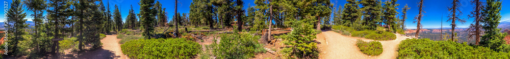 Panoramic view of woods in Bryce Canyon National Park