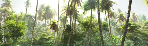 Poranek w dżungli we mgle palmy w panoramie dżungli mgły