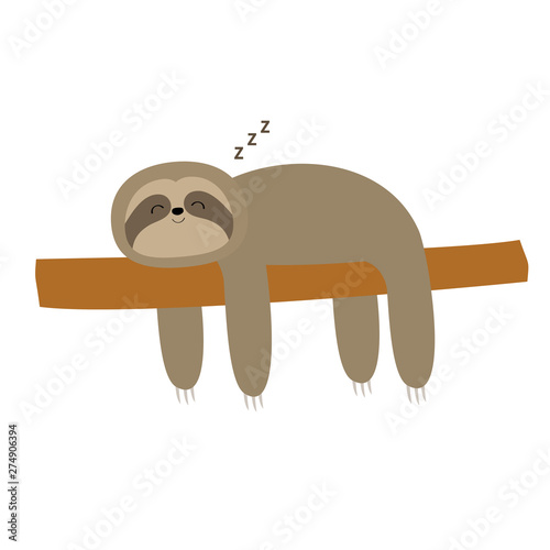 Sloth sleeping on tree branch. Cute lazy cartoon kawaii funny character. Slow down. ZZZ text. Wild joungle animal collection. Isolated. White background. Flat design.