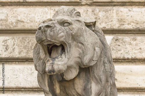 Lion statue. Stone monument. Monument near the castle. Medieval architecture. Historical heritage. Lions of Budapest. Travel to Hungary. European monuments to animals. Muzzle of a lion.