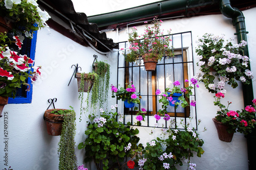 Flower decoration of patios in Cordoba  Andalusia  Spain - Patio Fest