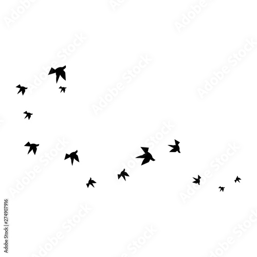Bird wing Dove Logo Template vector illustration © amin