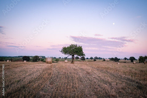 Beautiful sunset over summer countryside. Apulia region, Italy