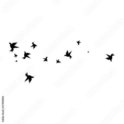 Bird wing Dove Logo Template vector illustration © amin