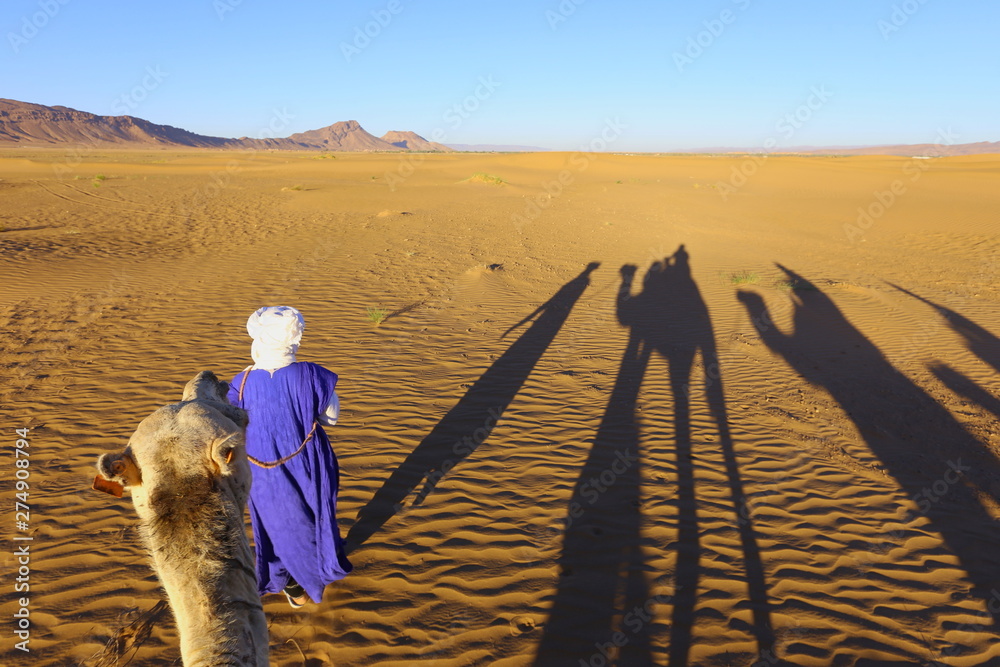 Camel caravan in Sahara desert, Morocco