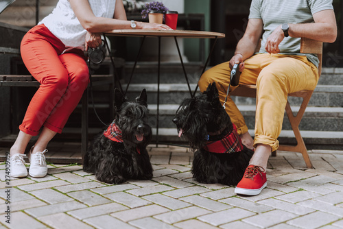 Cuadro en lienzo Adult couple with two dogs talking in cafe