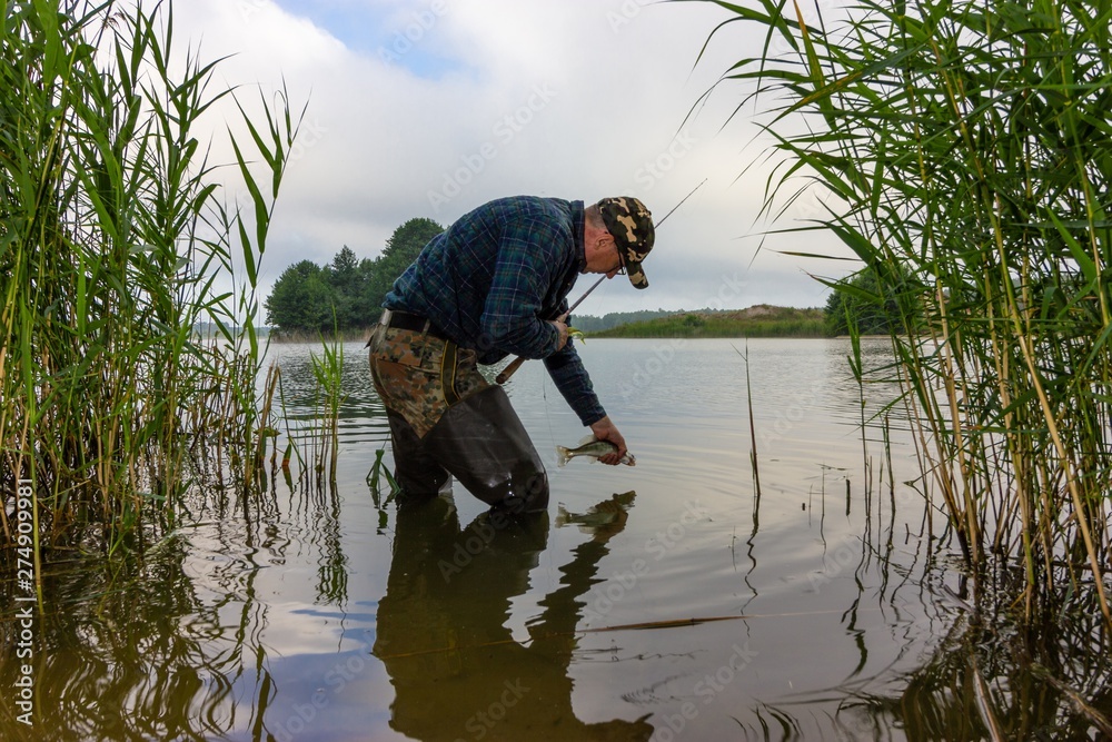 Angler catching the fish in the lake. Catch and release practice within recreational fishing Angler catching the fish in the lake. Catch and release practice within recreational fishing