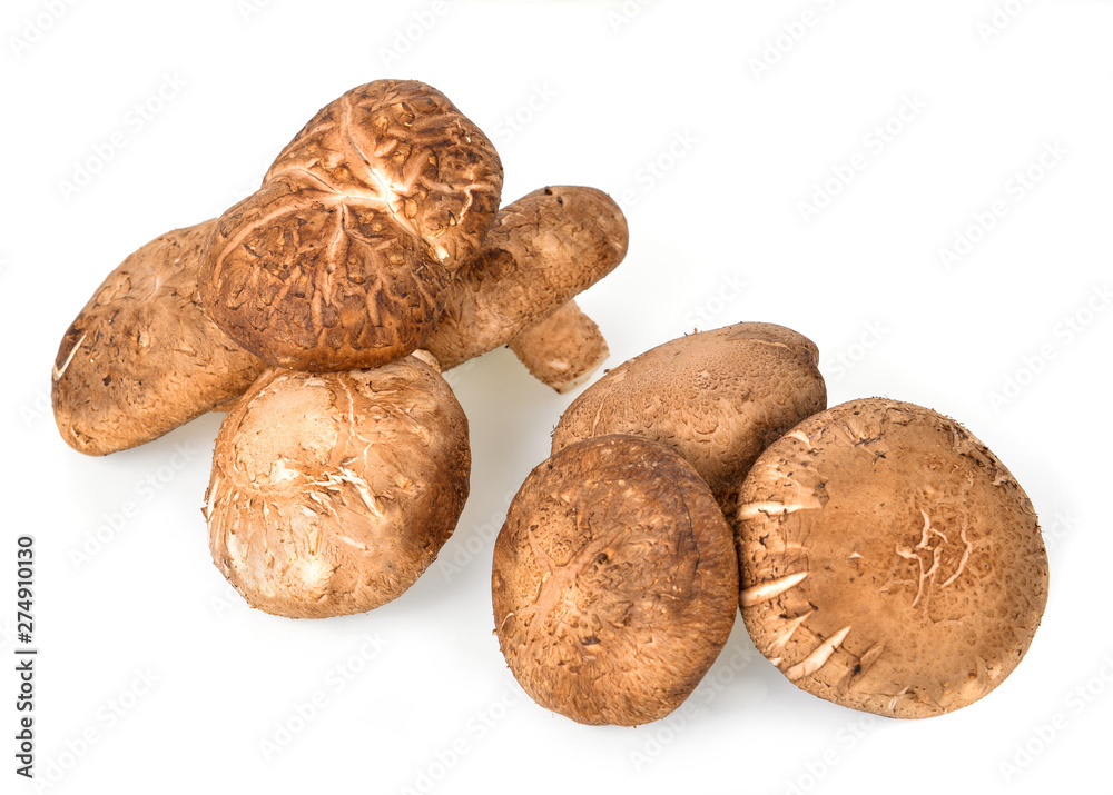 Shiitake Mushrooms on white background Shiitake Mushrooms on white background