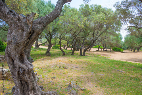 Scenic landscape of green hills and rocky mountains of the island of Sardinia in spring © Naj